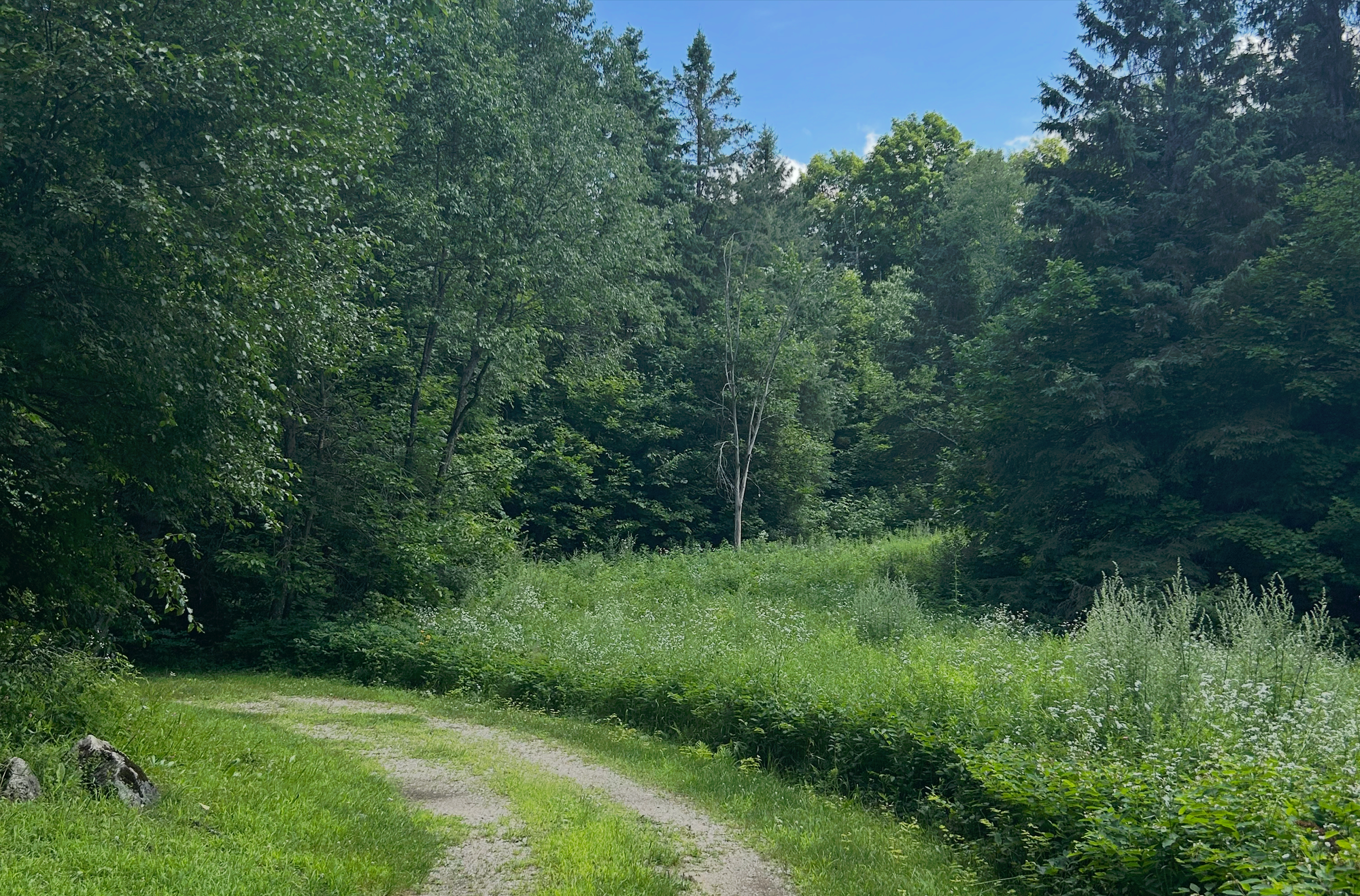 Centretown Gravel - Saturday, July 26, 9 AM - Wakefield Ride
