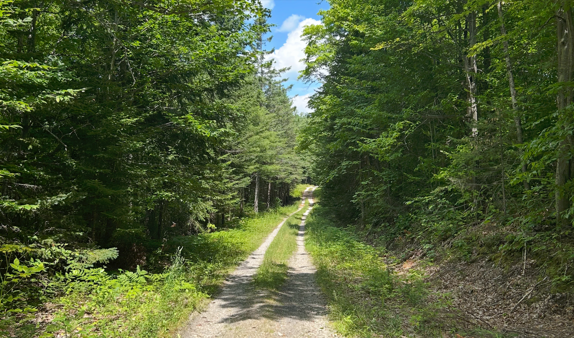 Centretown Gravel - Wednesday, July 23, 5:30 PM
