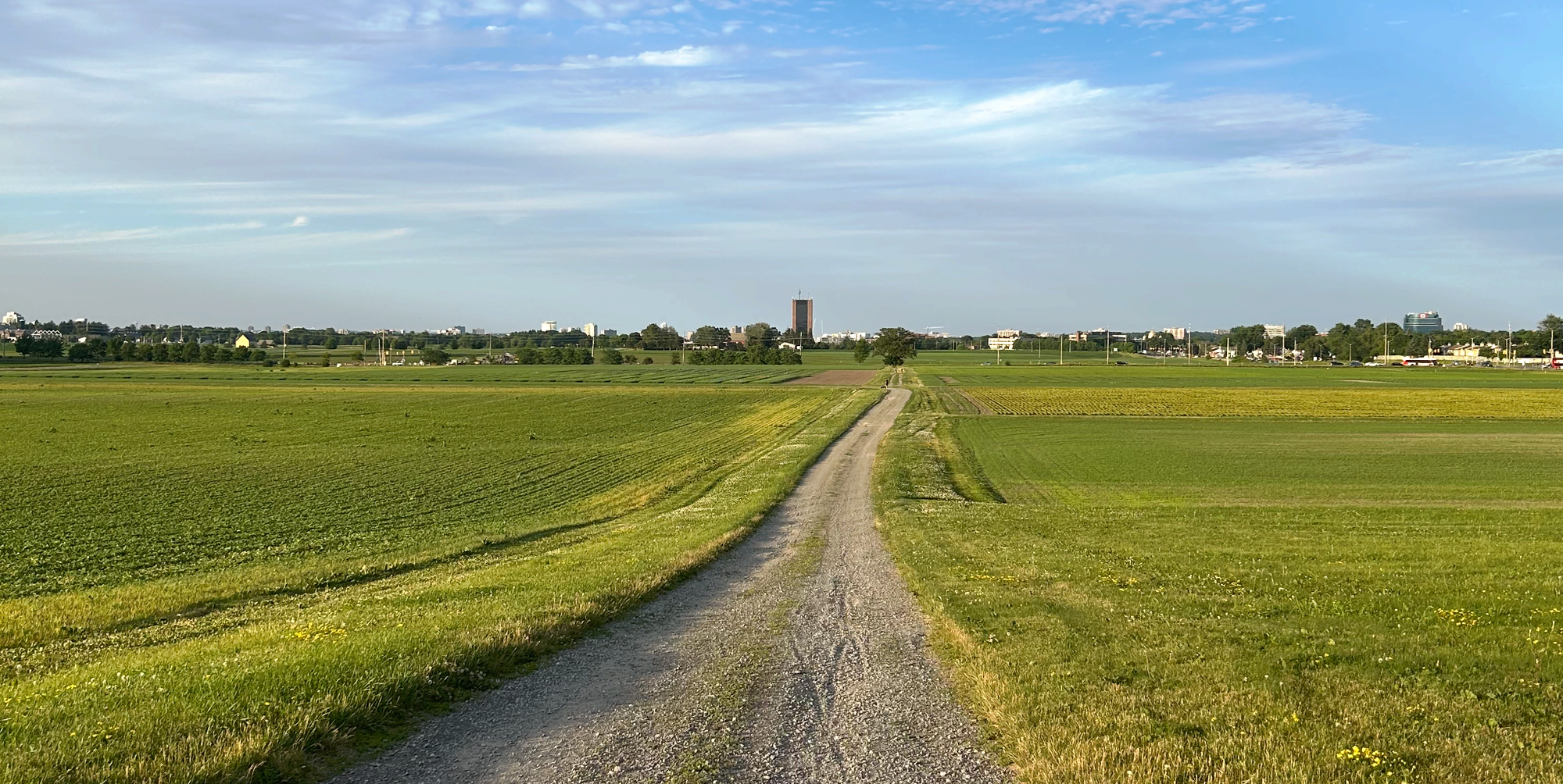 Centretown Gravel - Sunday, Aug 3, 9 AM