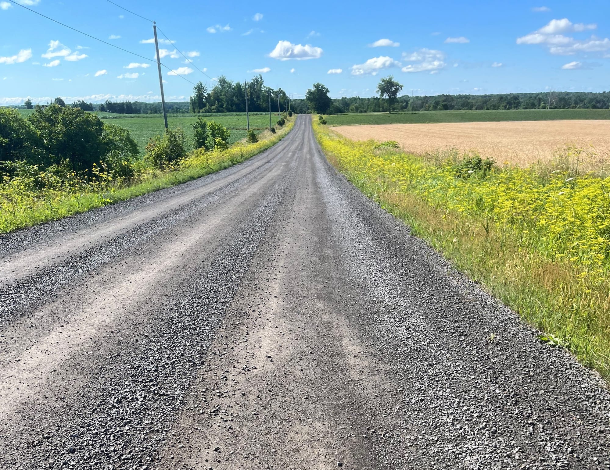 Heuvelmans Rd. earlier this year. 