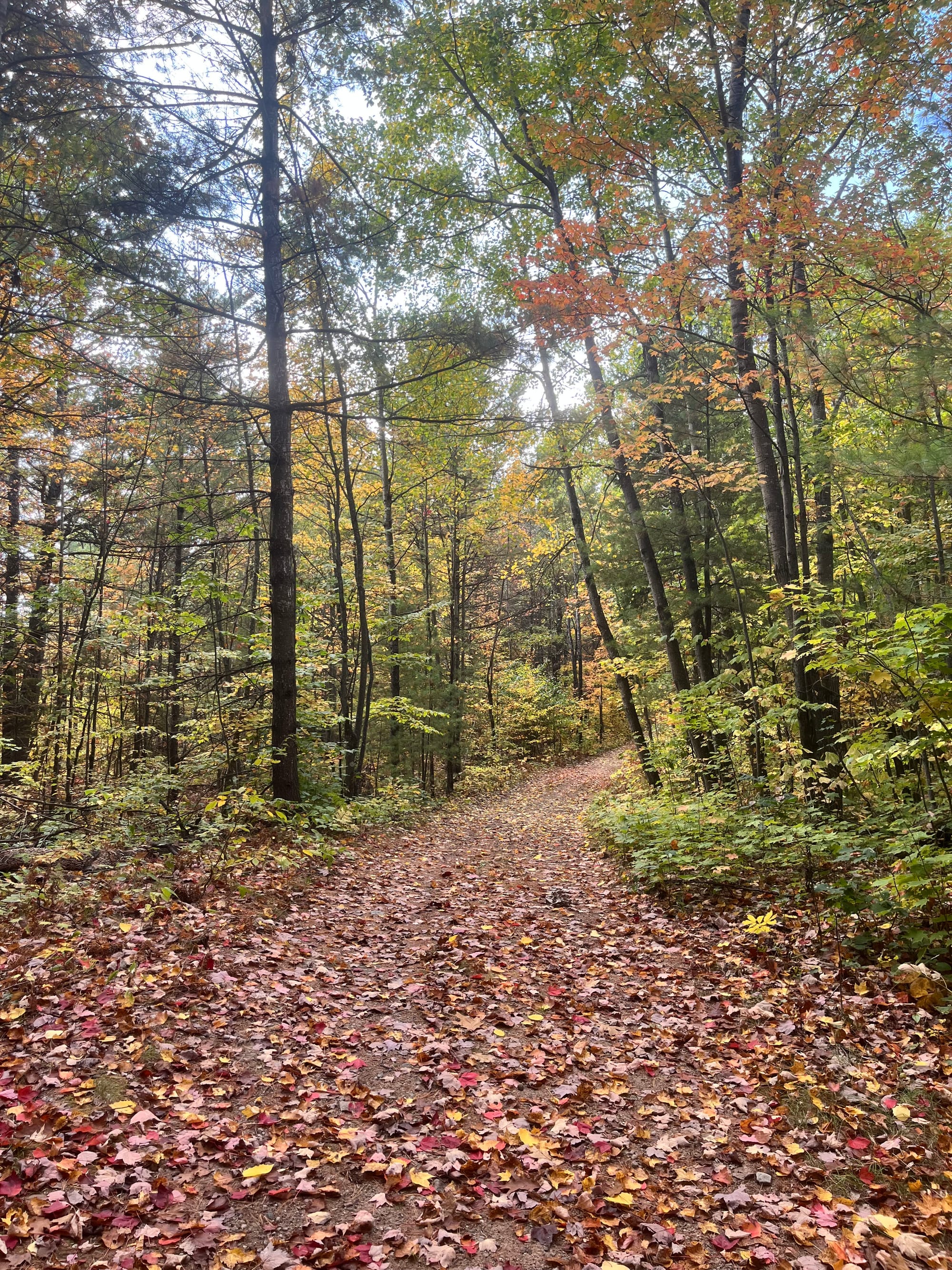 Centretown Gravel Ride - Sunday, October 5th, 9am