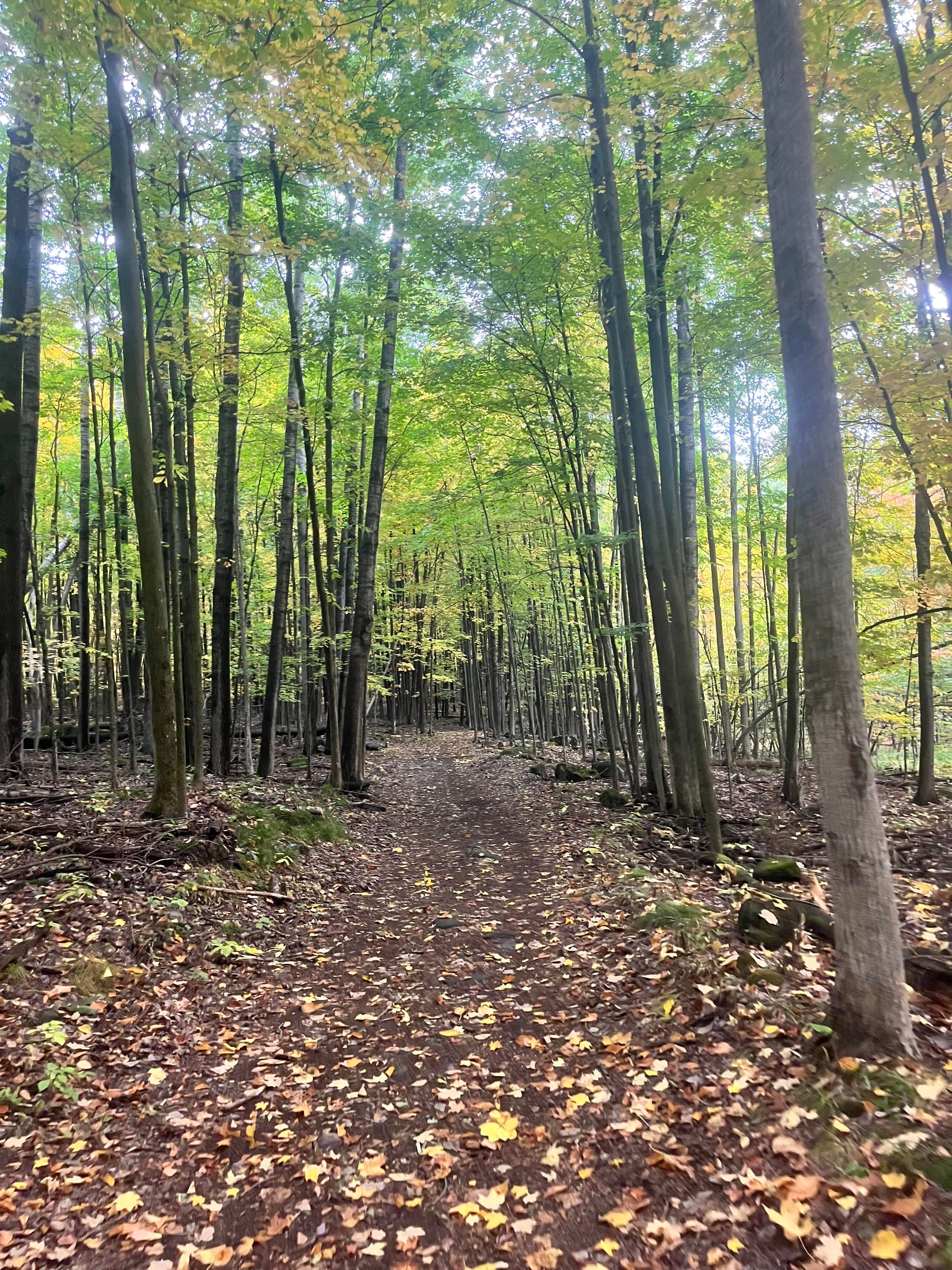 Centretown Gravel Ride - Wednesday, May 6, 5:30pm