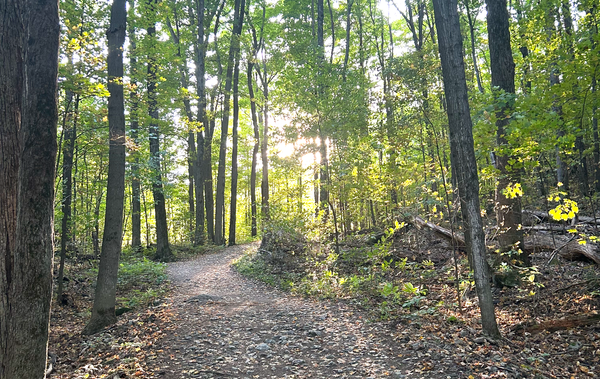 Oh hi Mark - Centretown Gravel Ride - Saturday, May 10th @ 3 PM