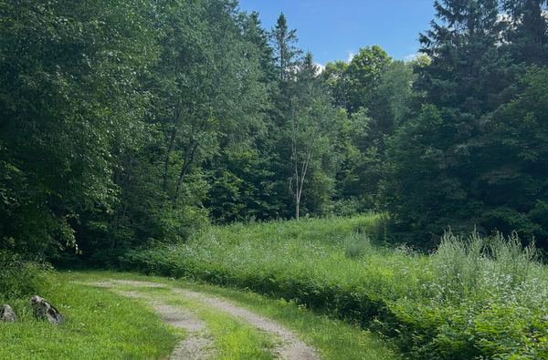 Centretown Gravel - Saturday, July 26, 9 AM - Wakefield Ride