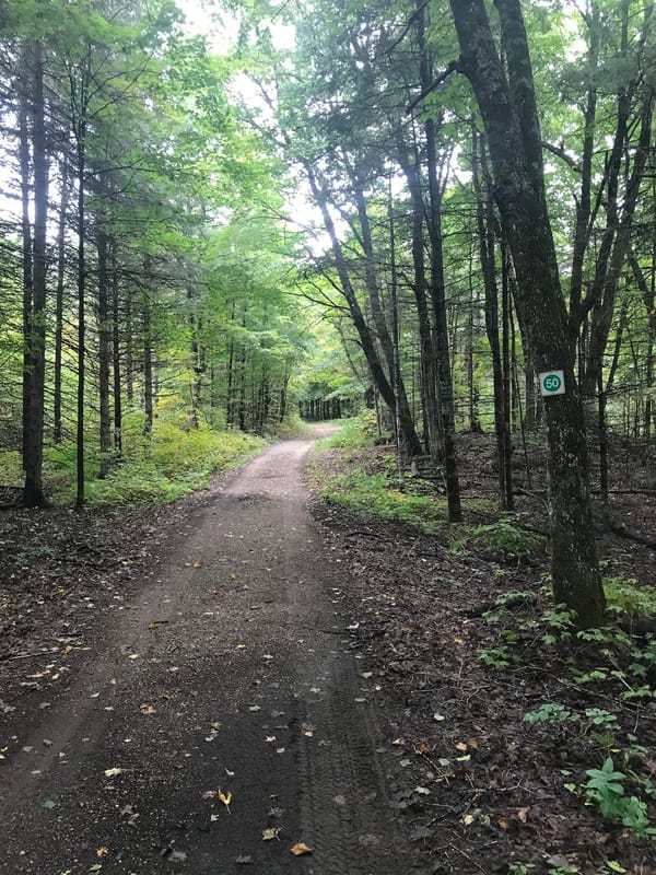 Centretown Gravel - Sunday, August 10, 9 AM