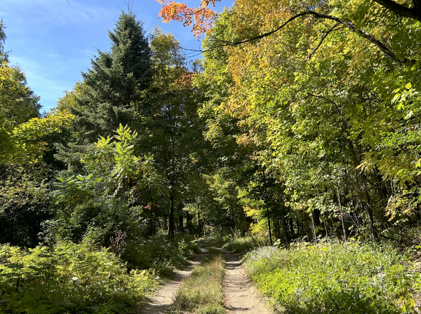 Centretown Gravel - Saturday, Sep 27, 10 AM - Trail 50 Ride