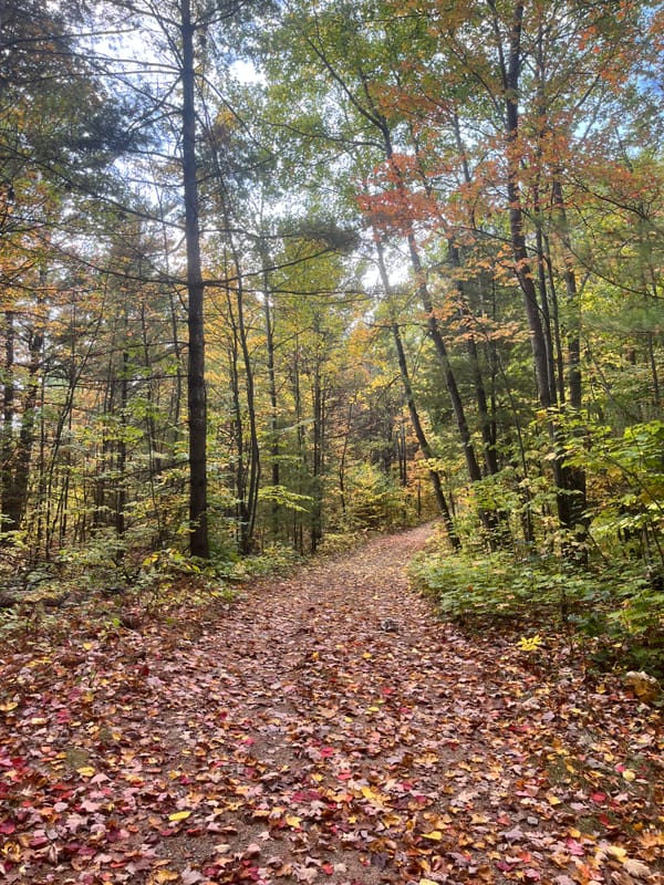 Centretown Gravel Ride - Sunday, October 5th, 9am