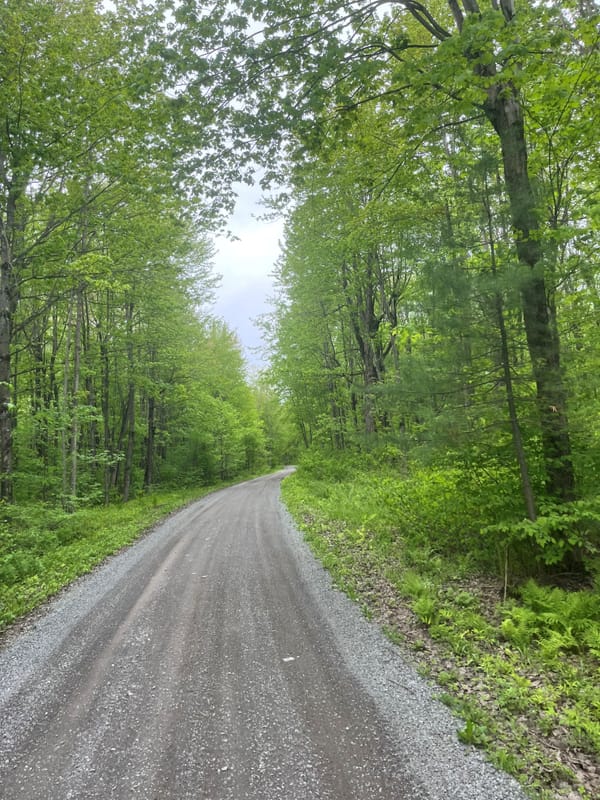 Centretown Gravel Rides, Friday October 24, 10am