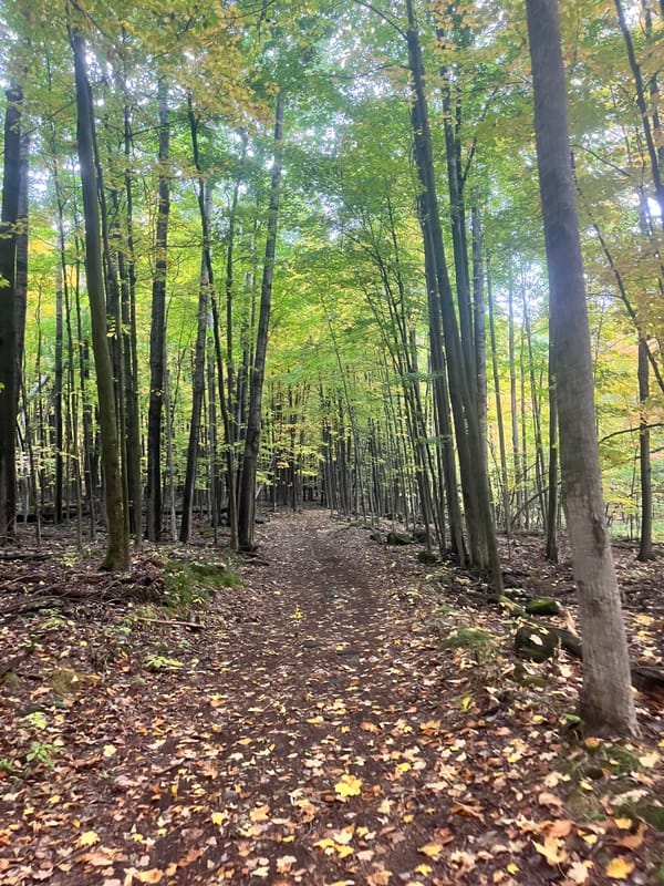 Centretown Gravel Ride - Wednesday, May 6, 5:30pm