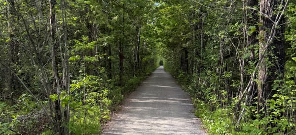 Centretown Gravel - Tuesday, June 9, 5:30 PM - Lac Leamy, 15-25 Loop, Moore Farm Ride